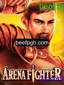 ArenaFighter: Desvendando o Mundo de Combates Virtuais com beefpg